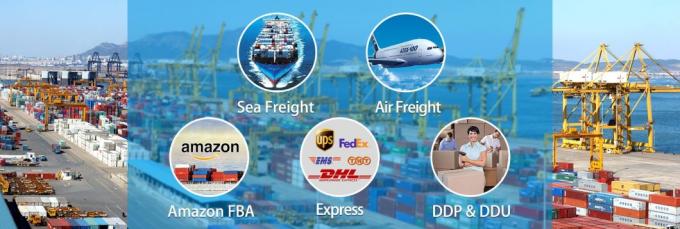 Service der internationalen Schifffahrt von China zu uns BRITISCHE Haus-Hauslieferung Kanadas Europa