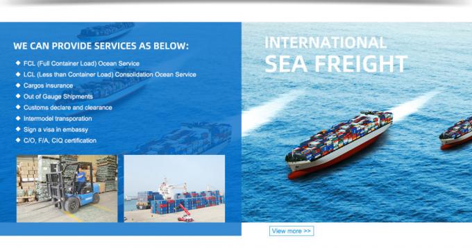 Top 10 schneller Seeozean Spediteurs-Mittel-Zim Forwardings DDP, der China nach USA Malaysia Singapur Indien versendet