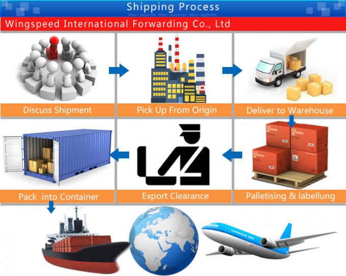 Top 10 schneller Seeozean Spediteurs-Mittel-Zim Forwardings DDP, der China nach USA Malaysia Singapur Indien versendet